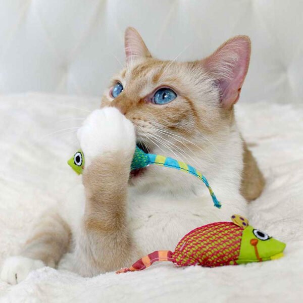 Petstages Juguete Masticable Catnip Dental Health Chew Mice – 2 Pack - Imagen 3