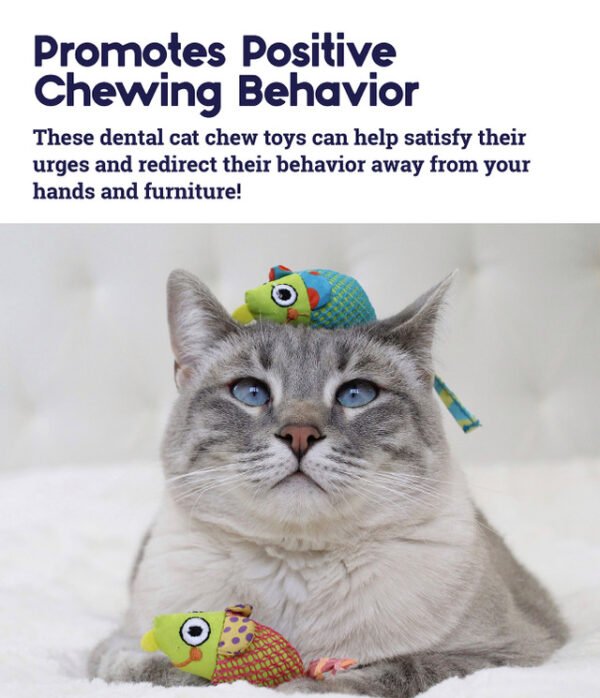 Petstages Juguete Masticable Catnip Dental Health Chew Mice – 2 Pack - Imagen 6