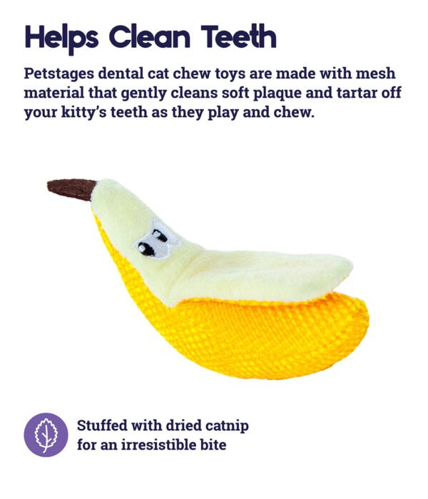 Petstages Juguete Masticable Dental Banana - Imagen 4
