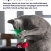 Petstages Juguete Masticable Dental Cherries Red - Imagen 3