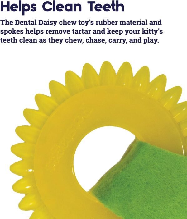 Petstages Juguete Masticable Dental Daisy - Imagen 4