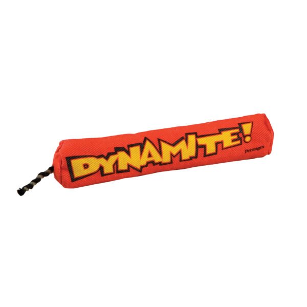 Petstages Juguete Masticable Green Magic Dynamite