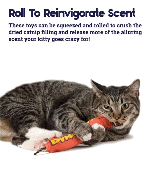 Petstages Juguete Masticable Green Magic Dynamite - Imagen 5