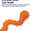 Petstages Juguete Masticable OrkaKat Catnip Wiggle Worm - Imagen 4