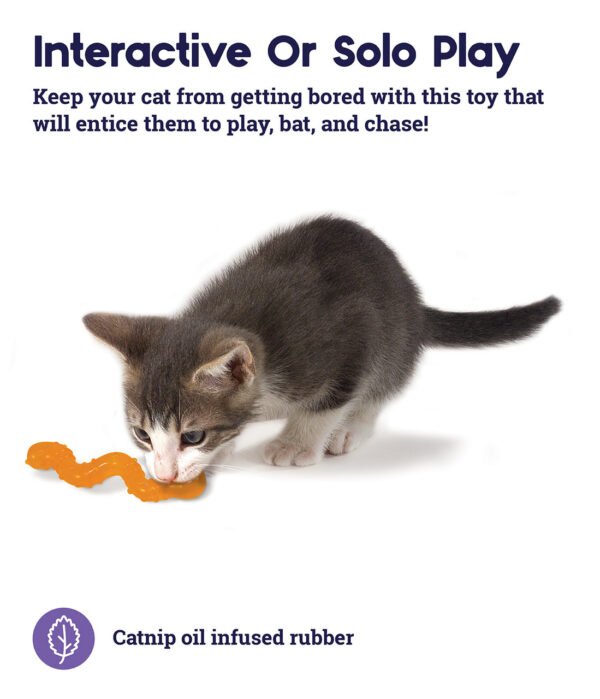 Petstages Juguete Masticable OrkaKat Catnip Wiggle Worm - Imagen 5