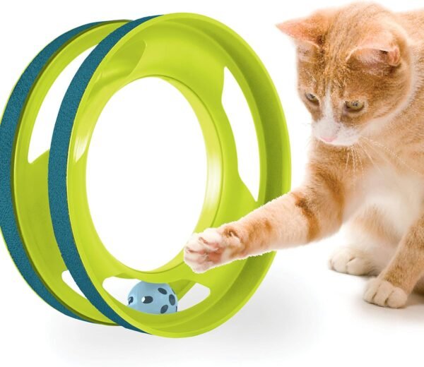 Petstages Juguete Ring Track - Imagen 3