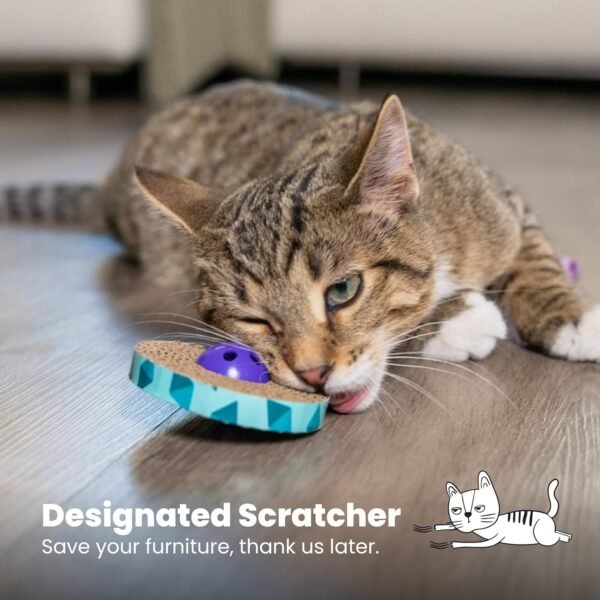 Petstages Juguete Spin & Scrath – 2 Pack - Imagen 3