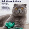 Petstages Juguete Toss 'N Dangle Frog - Imagen 3
