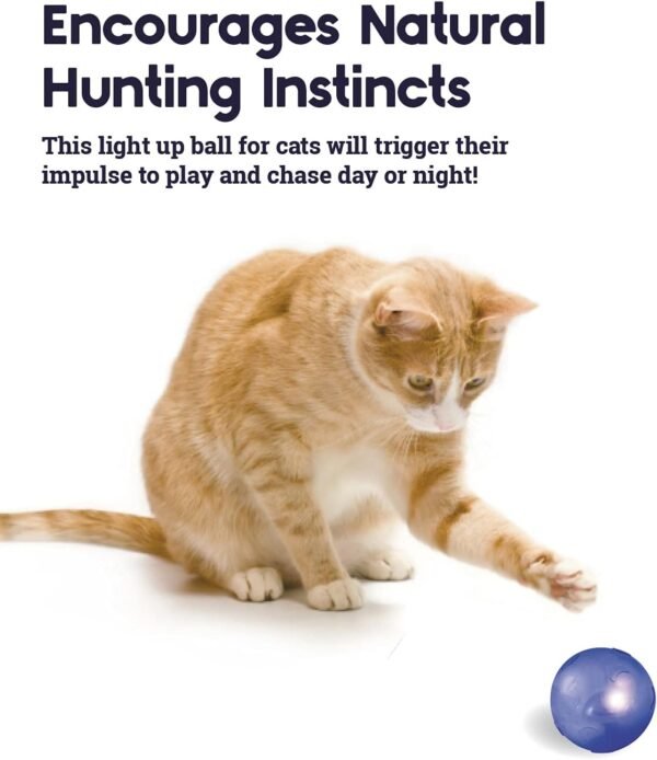 Petstages Juguete Twinkle Ball - Imagen 4
