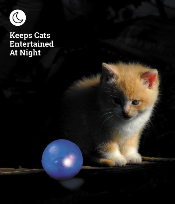 Petstages Juguete Twinkle Ball - Imagen 5