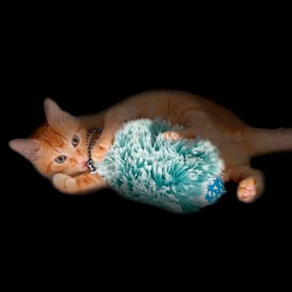 Petstages Nighttime Cuddle Toy - Imagen 3
