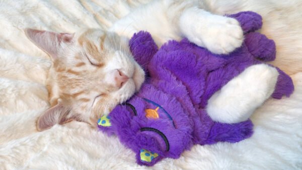 Petstages Peluche Purr Pillow Kitty - Imagen 3