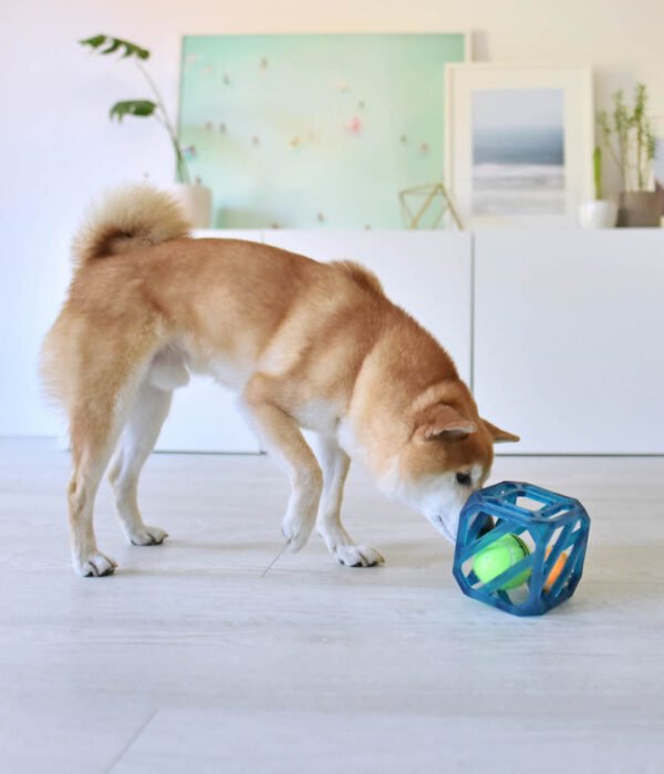 Outward Hound Juguete Interactivo Puzzle Cube - Imagen 3