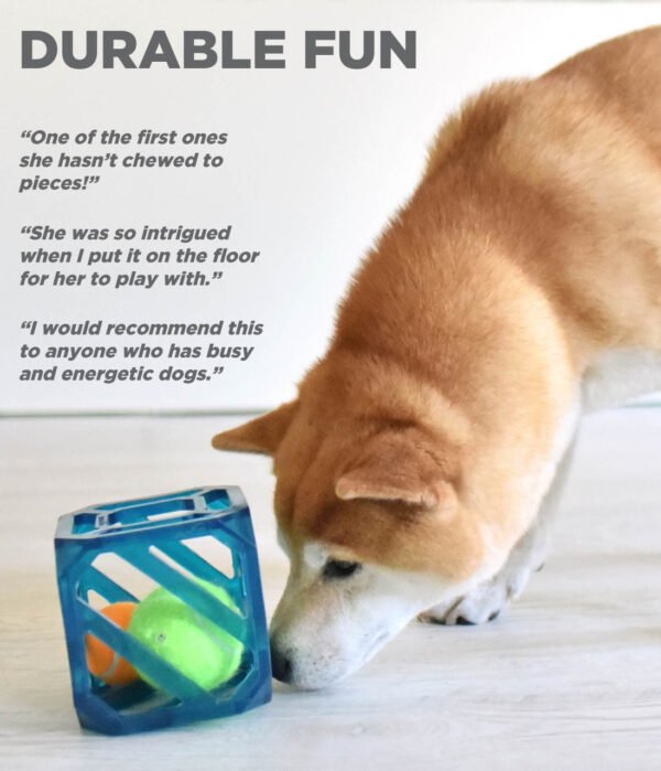 Outward Hound Juguete Interactivo Puzzle Cube - Imagen 6