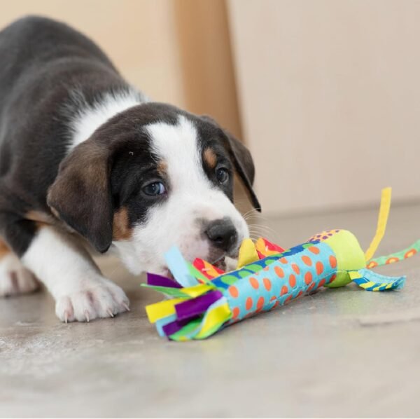 Petstages Juguete Dental Cool Teething Stick - Imagen 3