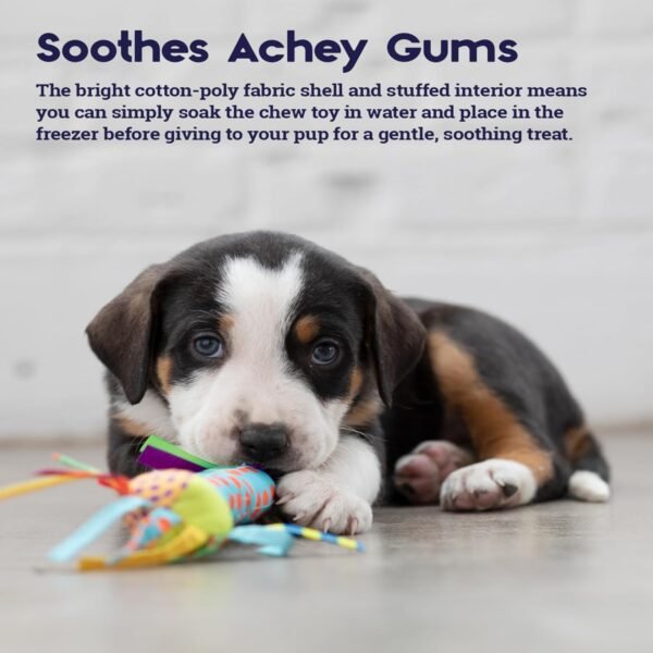 Petstages Juguete Dental Cool Teething Stick - Imagen 5