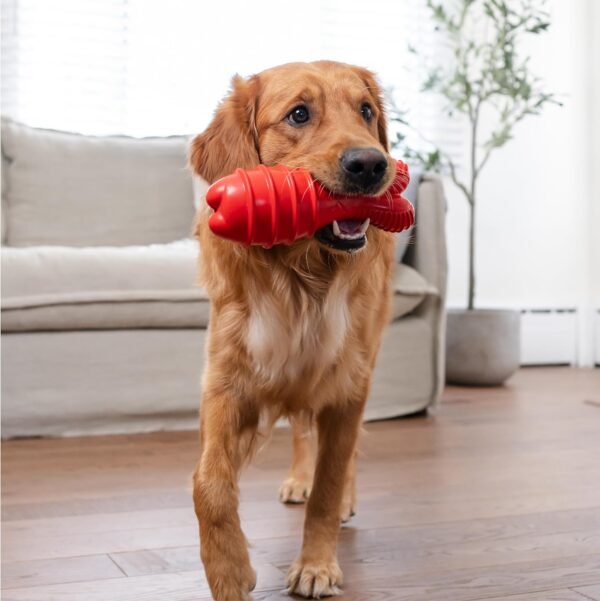 Petstages Juguete Grunt Fetch Stick Bunny Red - Imagen 3