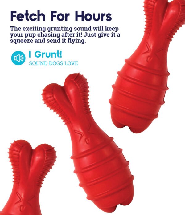 Petstages Juguete Grunt Fetch Stick Bunny Red - Imagen 6