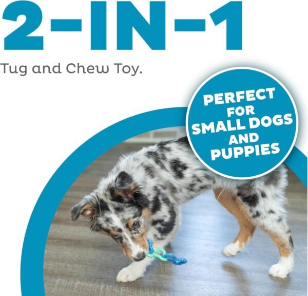 Petstages Juguete Masticable Bone Tugz Puppy Blue - Imagen 4