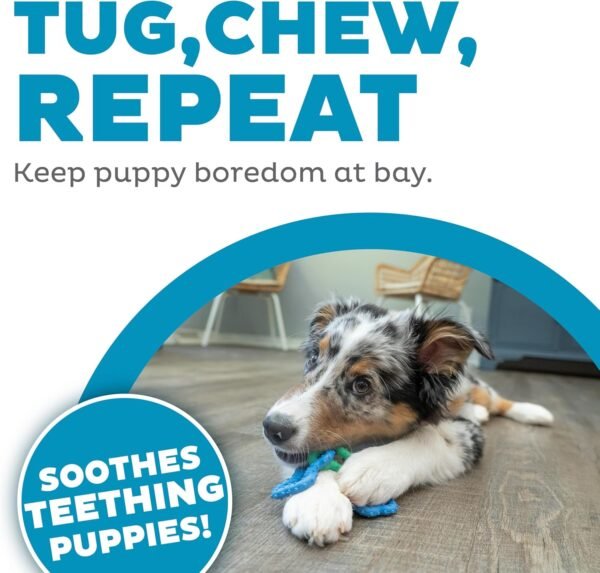 Petstages Juguete Masticable Bone Tugz Puppy Blue - Imagen 5