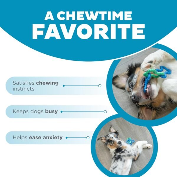 Petstages Juguete Masticable Bone Tugz Puppy Blue - Imagen 6