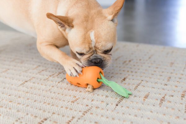 Petstages Juguete Masticable Carrot Stuffer - Imagen 3