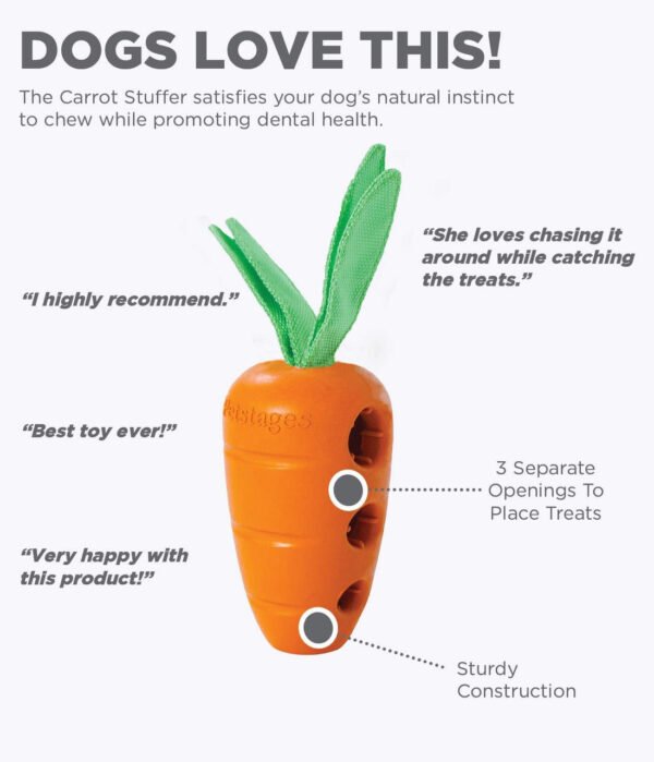 Petstages Juguete Masticable Carrot Stuffer - Imagen 6
