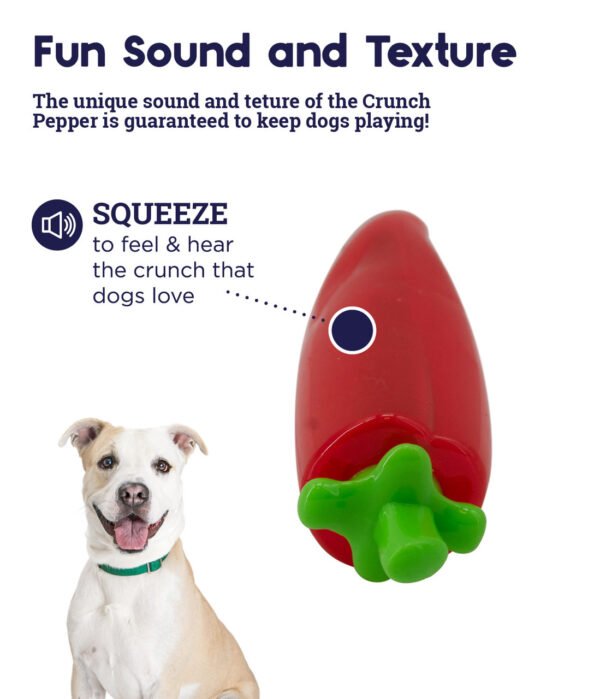 Petstages Juguete Masticable Crunch Veggies - Imagen 4
