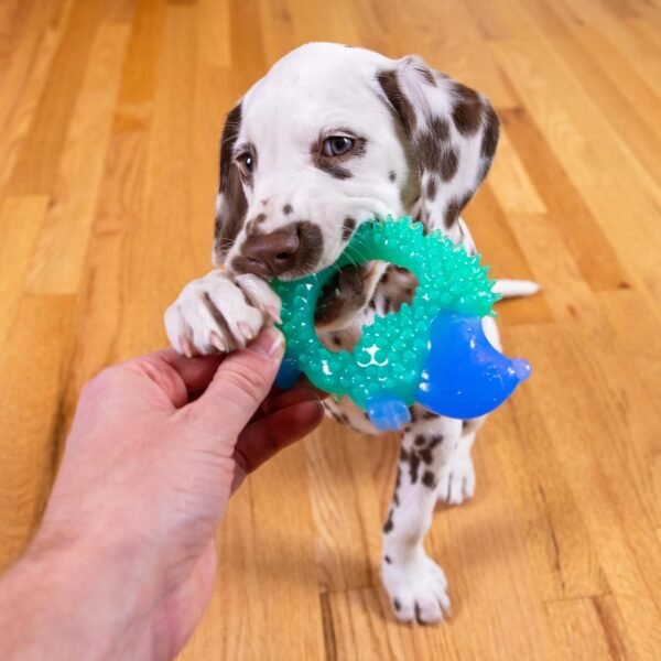 Petstages Juguete Masticable Cutie Chewies Hedgehog Blue - Imagen 3