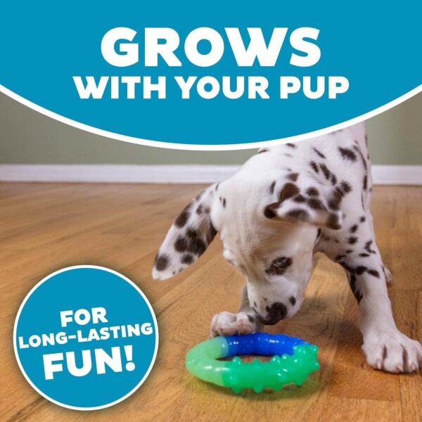 Petstages Juguete Masticable Grow With Me Ring - Imagen 3