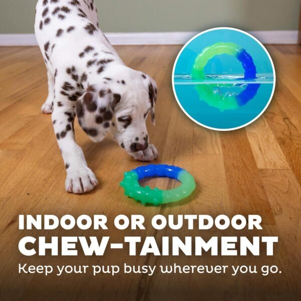 Petstages Juguete Masticable Grow With Me Ring - Imagen 6
