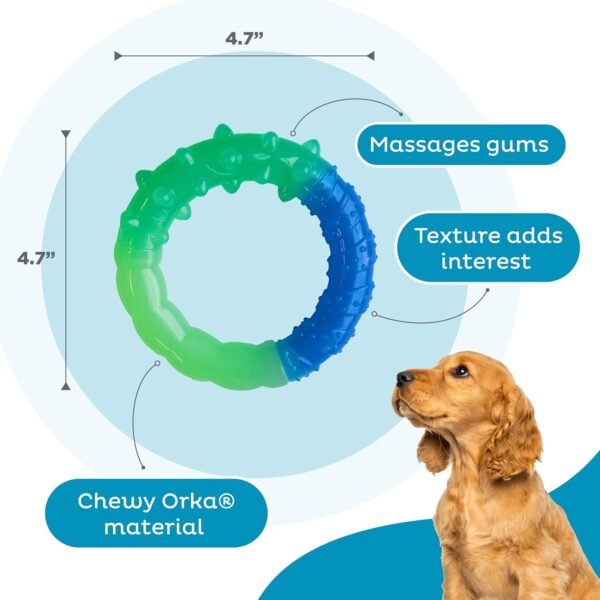 Petstages Juguete Masticable Grow With Me Ring - Imagen 7