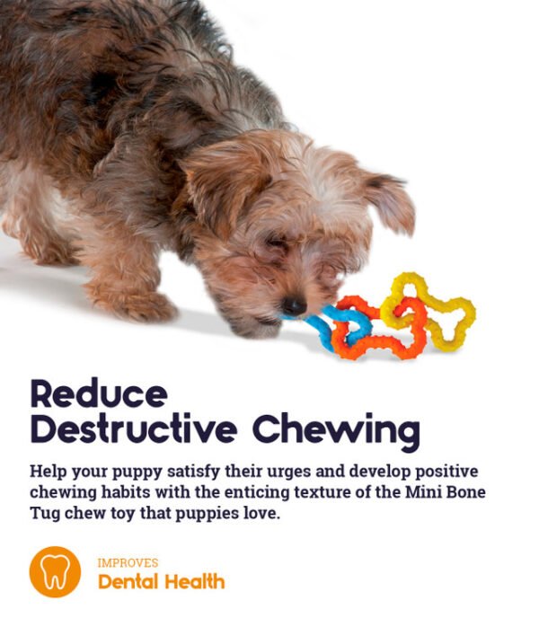 Petstages Juguete Masticable Mini Bone Tug Puppy - Imagen 5