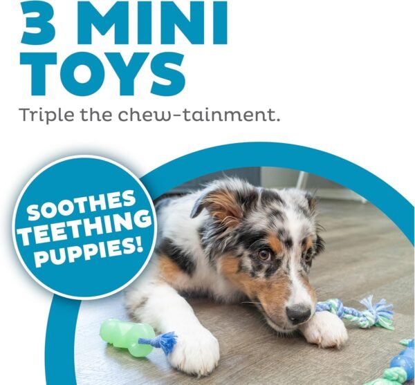 Petstages Juguete Masticable Mini Dentachew – 3 Pack - Imagen 3