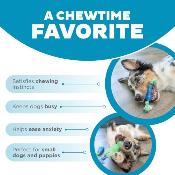 Petstages Juguete Masticable Mini Dentachew – 3 Pack - Imagen 6