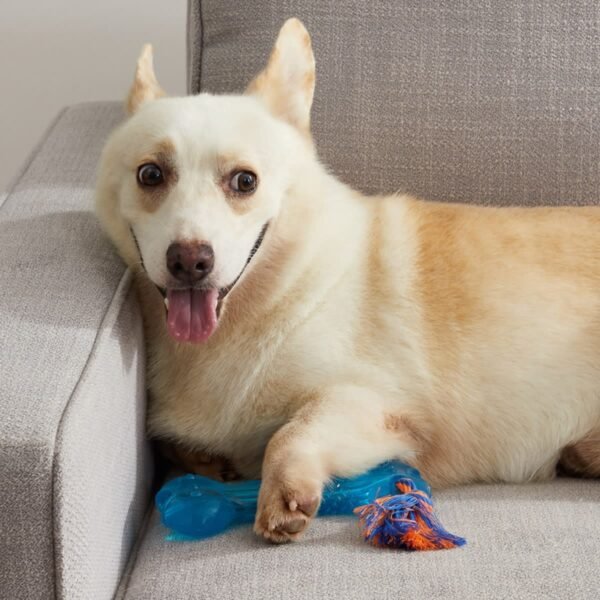 Petstages Juguete Masticable Orka Bone Mini - Imagen 3