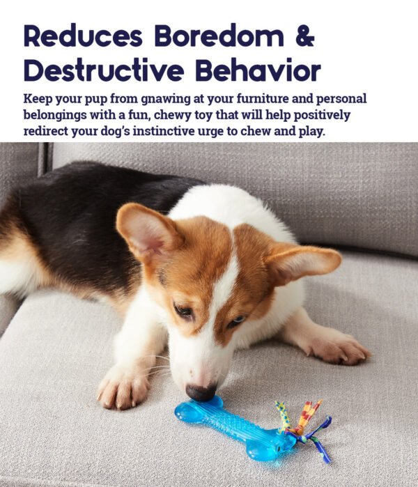 Petstages Juguete Masticable Orka Bone Mini - Imagen 5