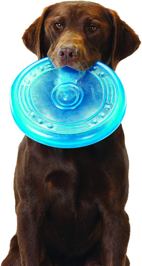 Petstages Juguete Masticable Orka Flyer - Imagen 3