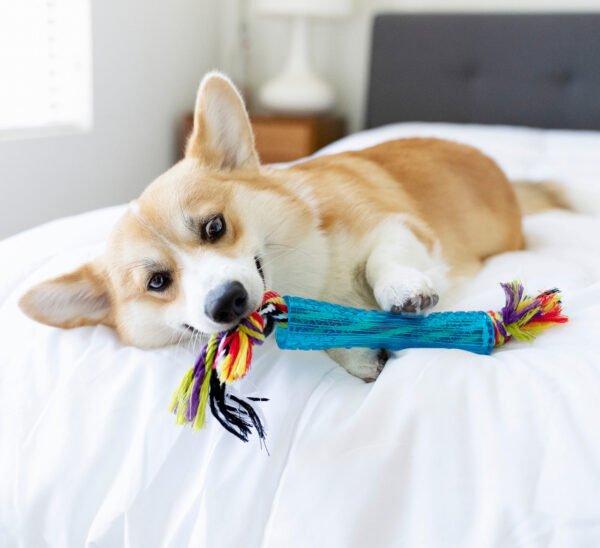 Petstages Juguete Masticable Orka Stick - Imagen 3