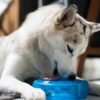 Petstages Juguete Masticable Orka Tire Blue - Imagen 3