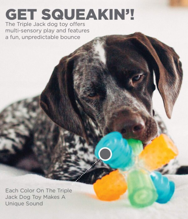 Petstages Juguete Masticable Triple Jack - Imagen 5