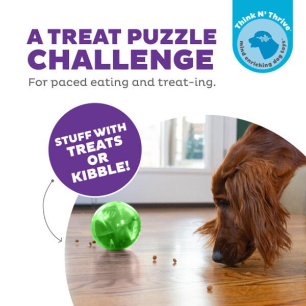 Planet Dog Juguete Interactivo Orbee Tuff Mazee - Imagen 2