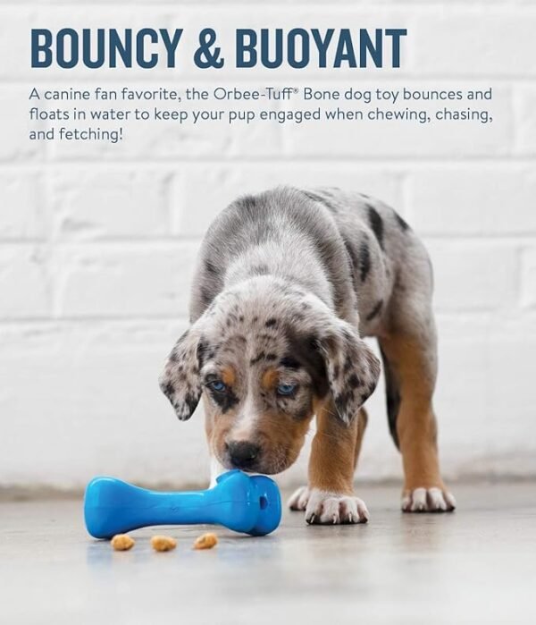 Planet Dog Juguete Masticable Orbee Tuff Bone - Imagen 6